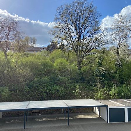 Ferienwohnung Am Erbacher Muemlingufer Erbach  Eksteriør billede